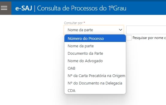 Consulta processual de primeiro grau, consulta por número do processo.