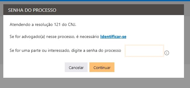 inserindo a senha obtida para acessar seu processo no tj-sp