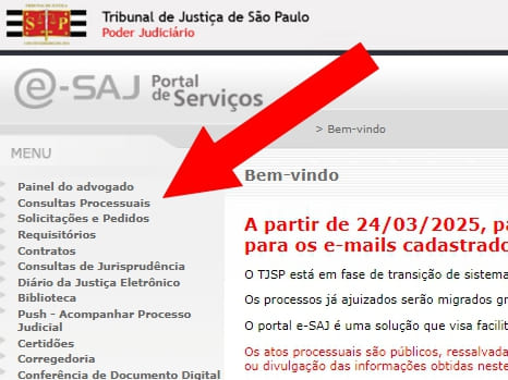 Consultar Processo