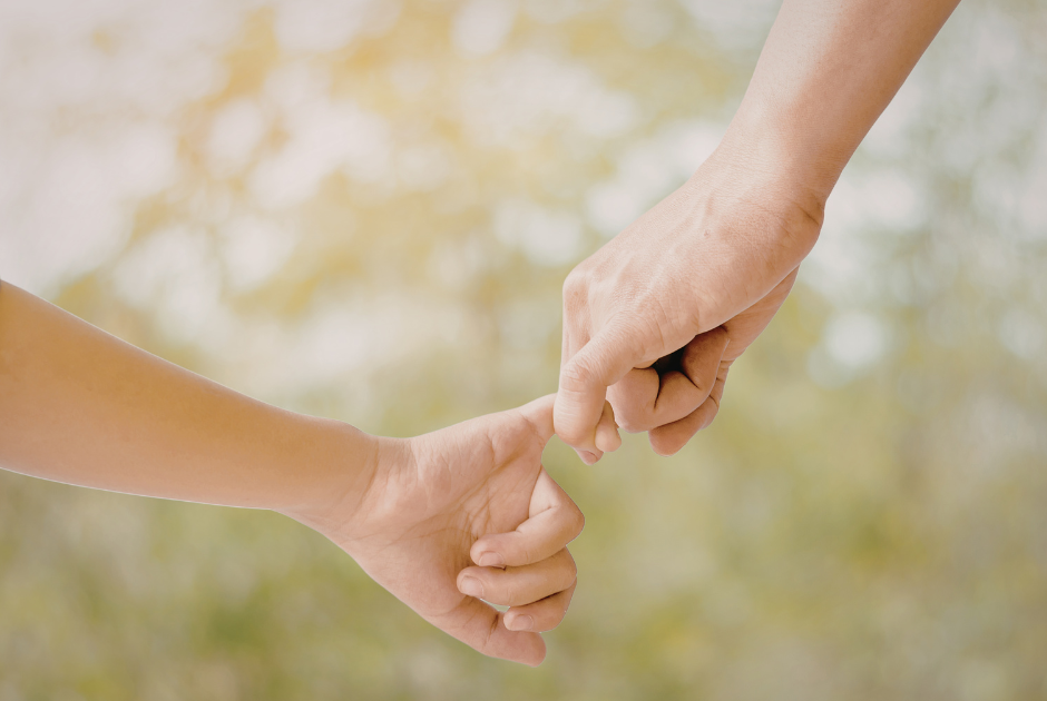 Valor da Pensão Alimentícia 2026